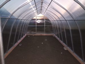 купольная теплица из полиакрбоната